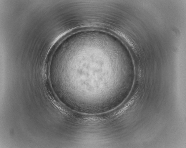 X0000115550830200911201759