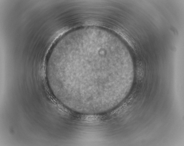 X0000115550832200911201759