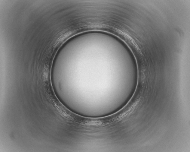 X0000115550833200911201759