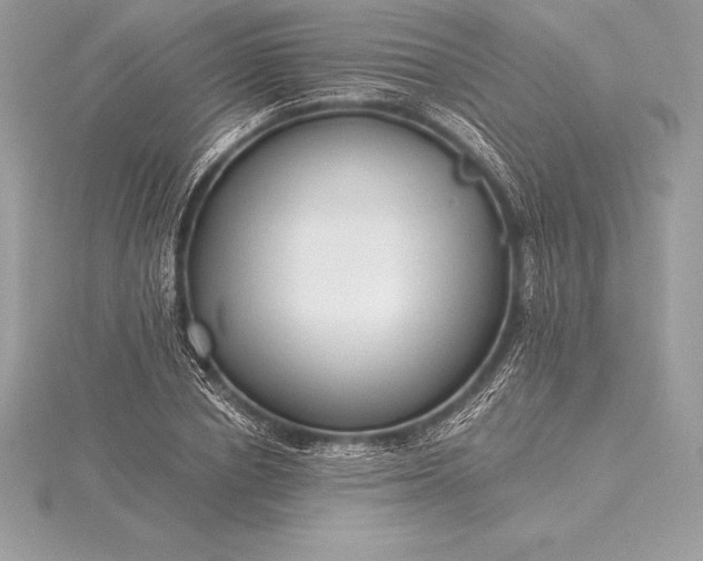 X0000115550834200911201759