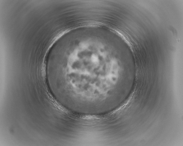 X0000115550835200911201759