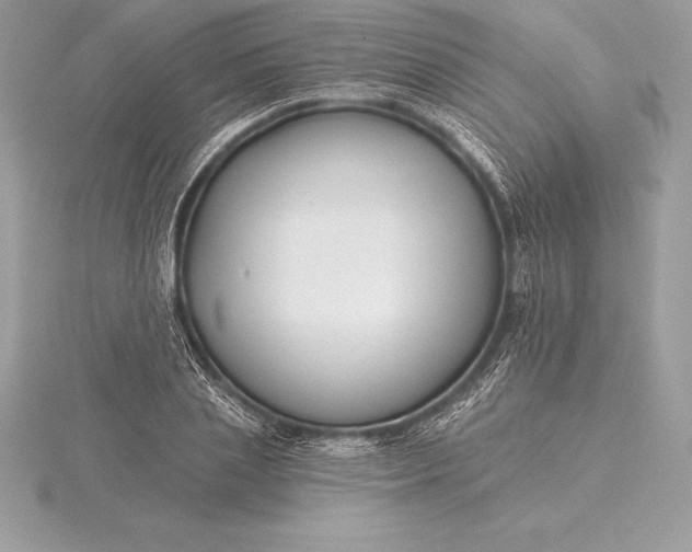 X0000115550837200911201759