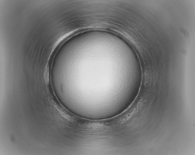 X0000115550838200911201759