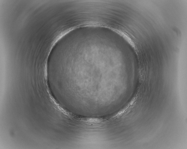 X0000115550839200911201759