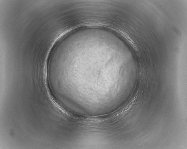 X0000115550840200911201759