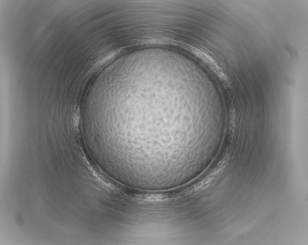 X0000115550841200911201759