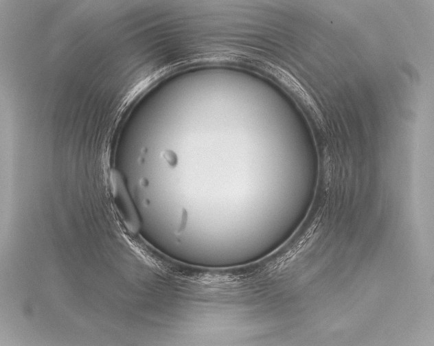 X0000115550842200911201759