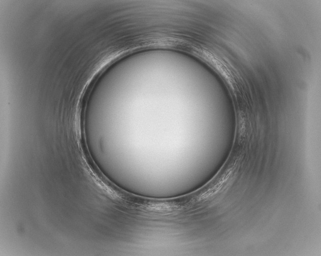 X0000115550843200911201759