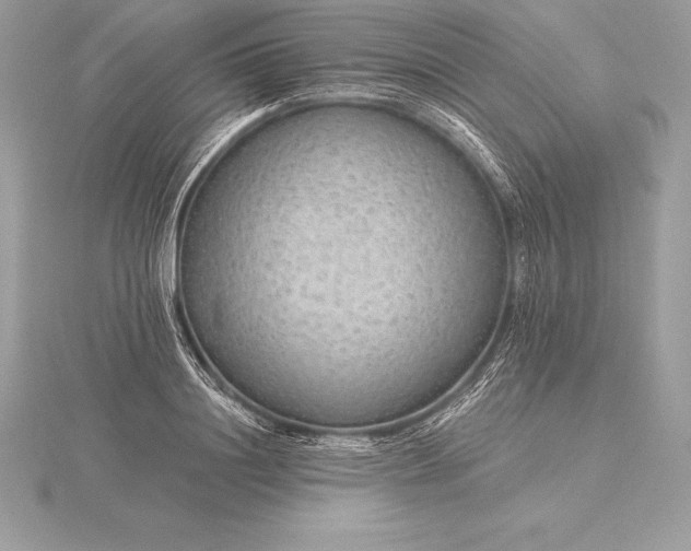 X0000115550844200911201759