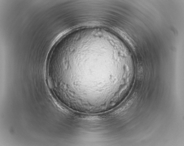 X0000115550845200911201759