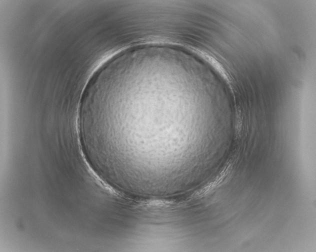 X0000115550847200911201759