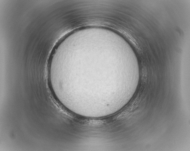 X0000115550848200911201759