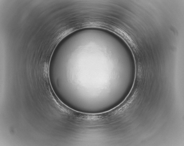 X0000115550849200911201759