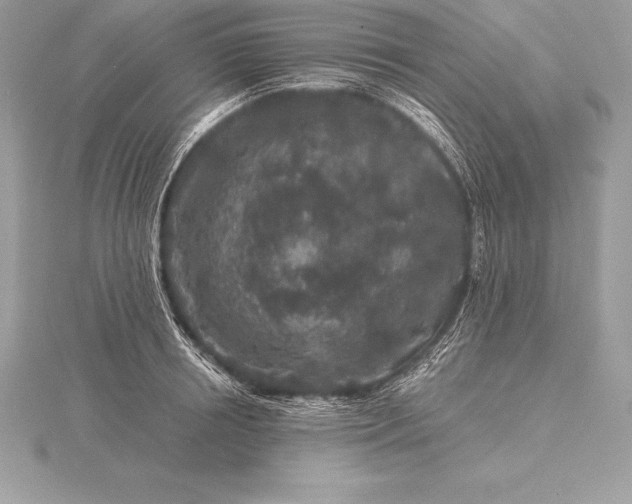 X0000115550850200911201759