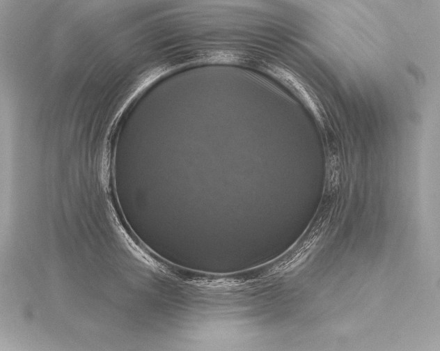 X0000115550851200911201759