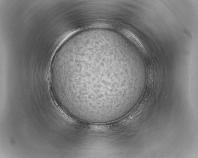 X0000115550852200911201759