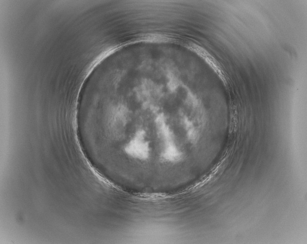 X0000115550853200911201759