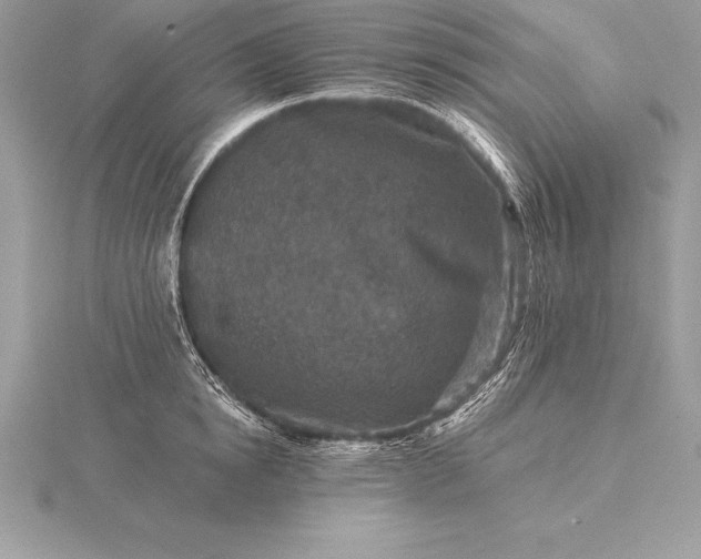 X0000115550854200911201759