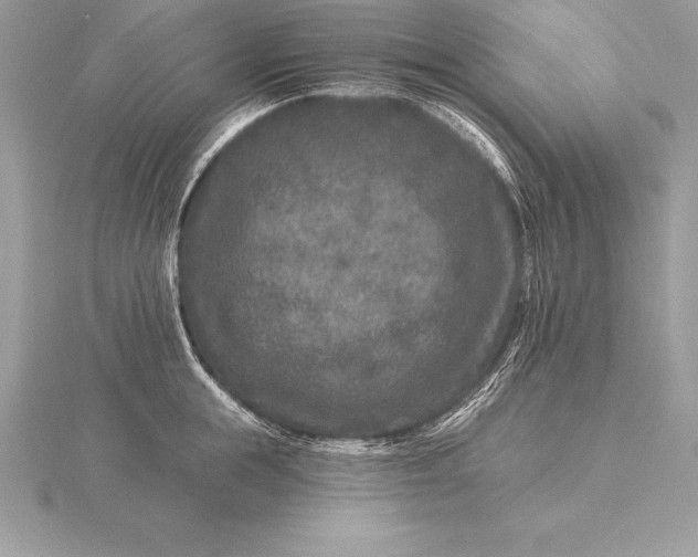 X0000115550855200911201759