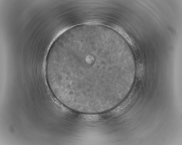 X0000115550856200911201759