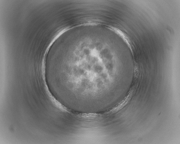 X0000115550859200911201759