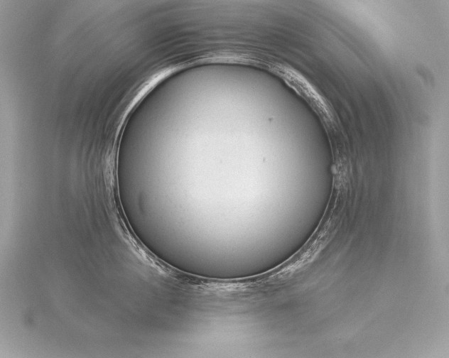 X0000115550860200911201759