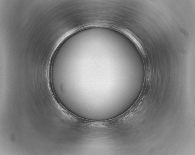 X0000115550861200911201759