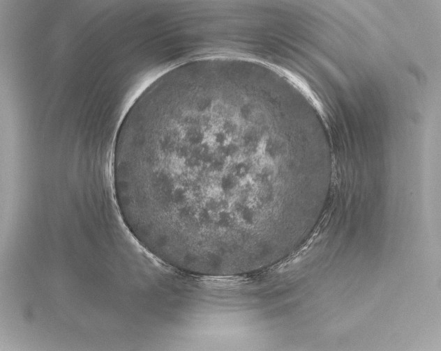 X0000115550863200911201759