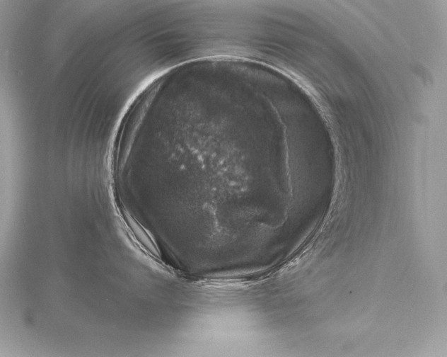 X0000115550864200911201759