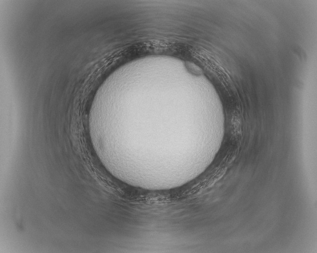 X0000115550865200911201759