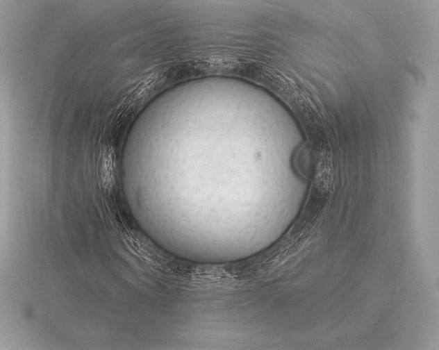 X0000115550866200911201759