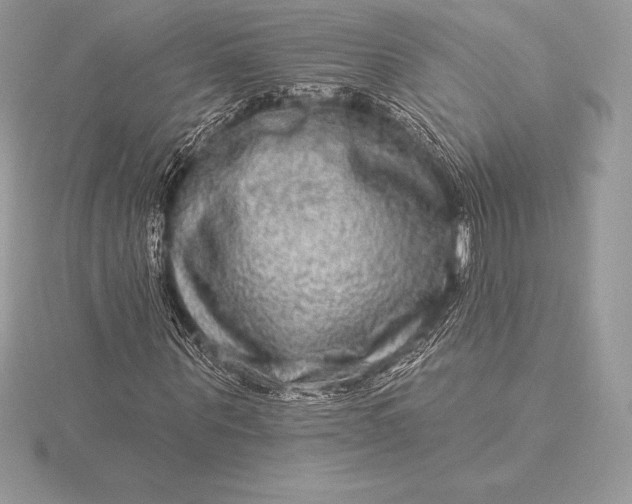 X0000115550867200911201759