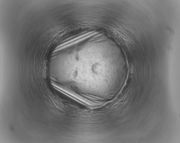 X0000115550868200911201758