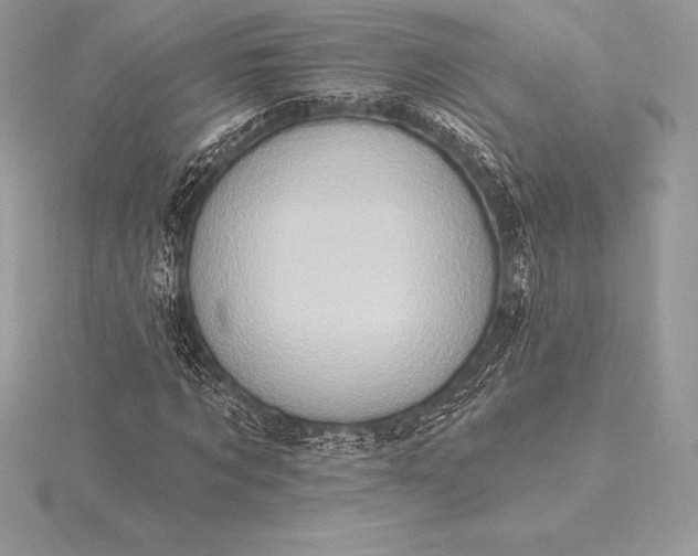 X0000115550869200911201758