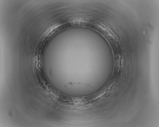 X0000115550870200911201758