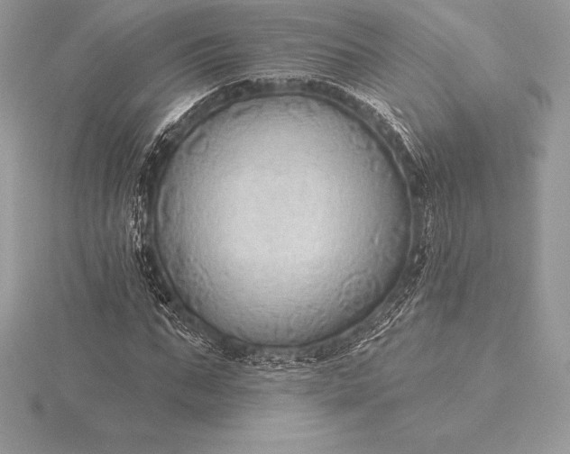 X0000115550871200911201758