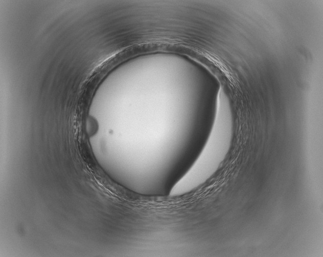 X0000115550872200911201758