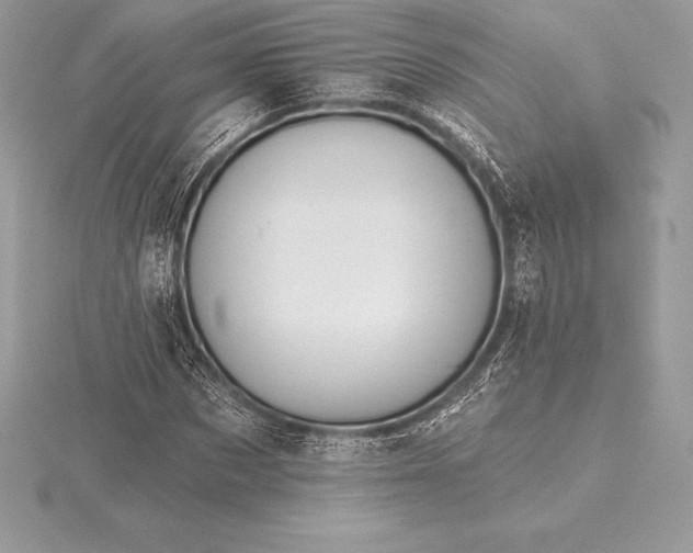 X0000115550873200911201758