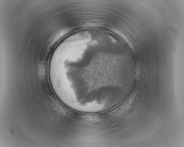 X0000115550874200911201758