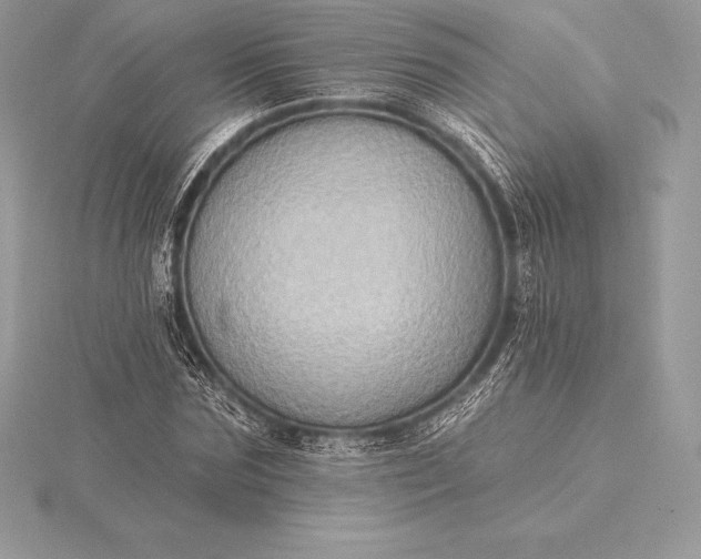 X0000115550875200911201758