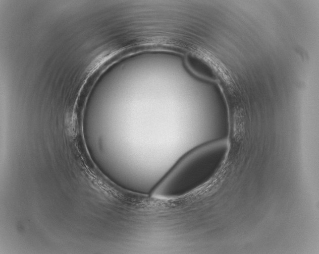 X0000115550876200911201758