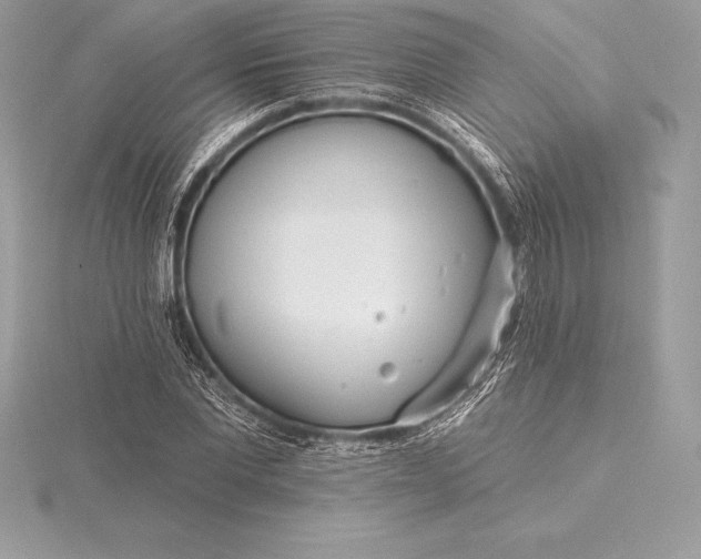 X0000115550877200911201758