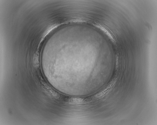 X0000115550878200911201758