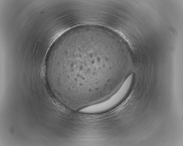 X0000115550879200911201758