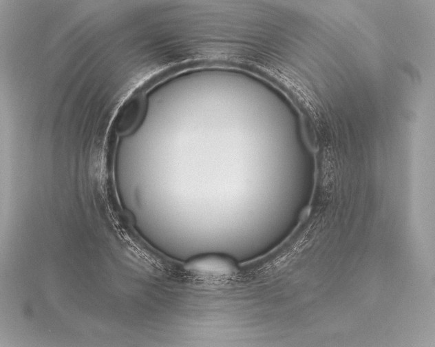 X0000115550880200911201758