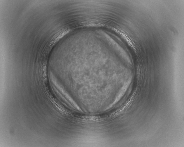 X0000115550881200911201758