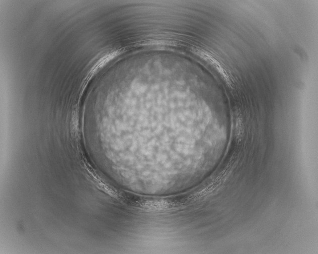 X0000115550882200911201758