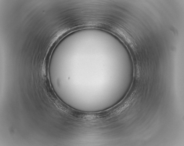 X0000115550883200911201758