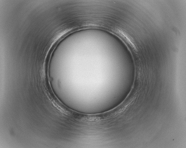 X0000115550884200911201758