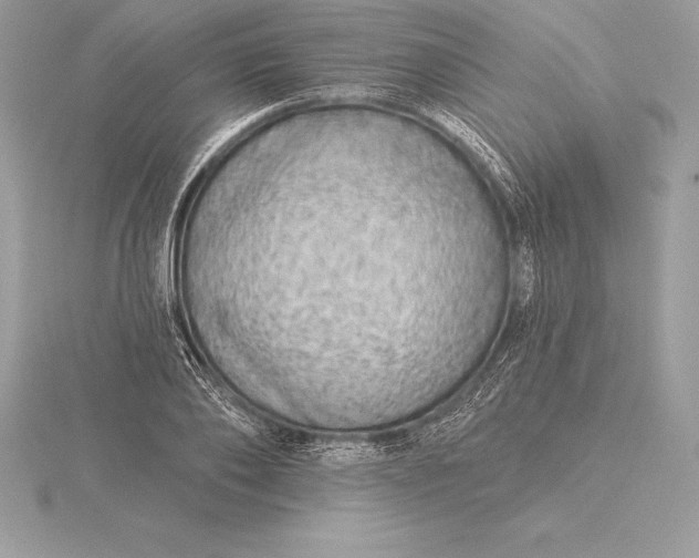 X0000115550886200911201758